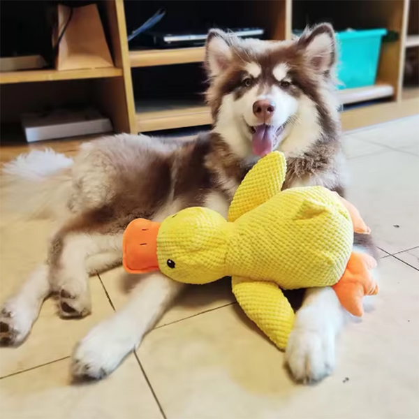 Stomping Duck Toy | Durable & Fun Dog Chew
